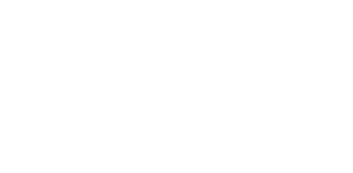 Royal Taj Mahal Hotel