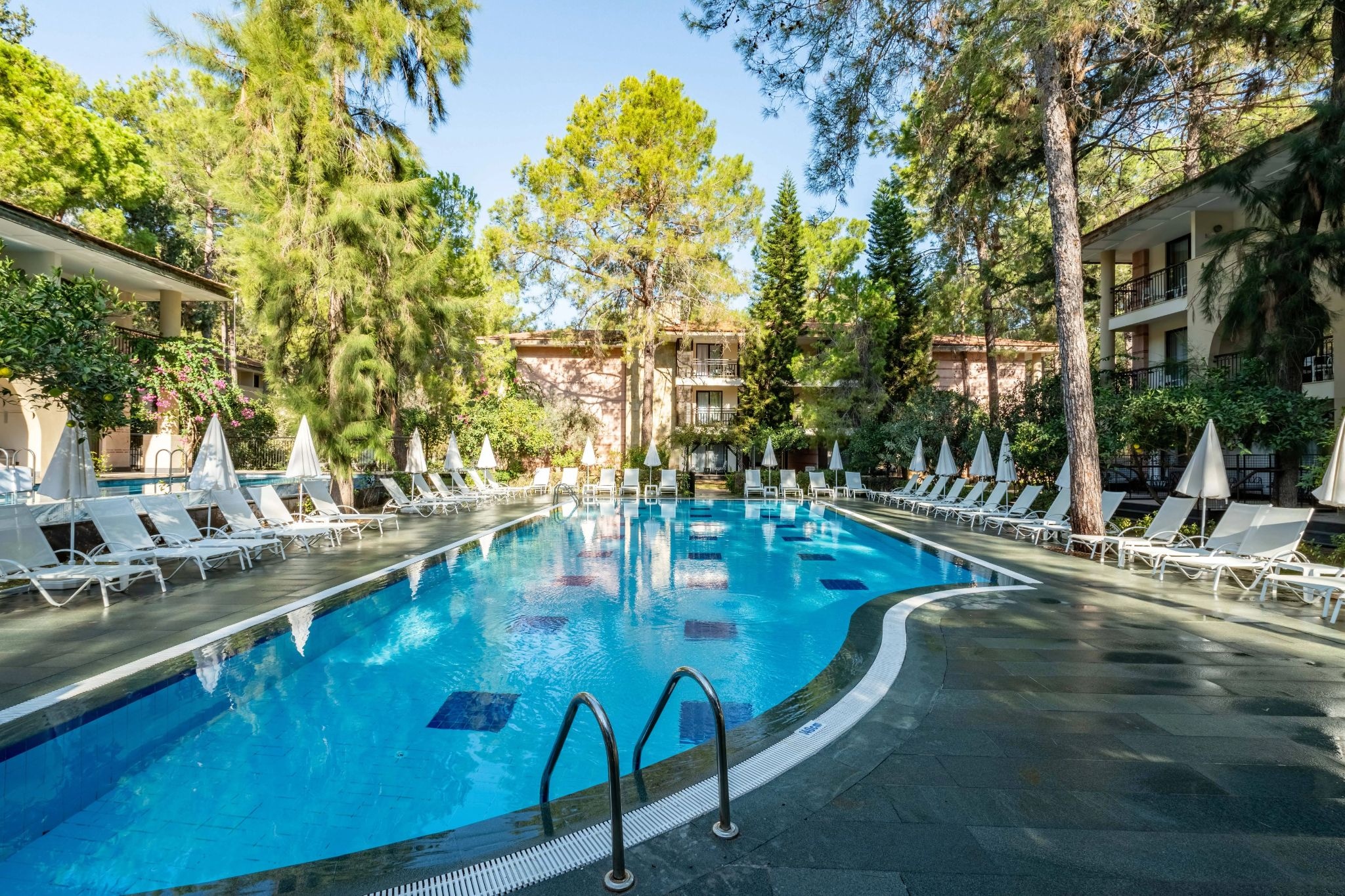 Champion Holiday Village’da çam ağaçları arasındaki havuz ve konaklama blokları