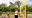 Beach Volleyball