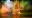 Evening Animation Shows