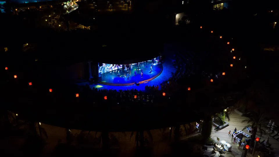 Musikshows